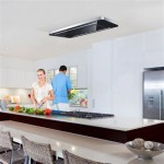 Everything You Need To Know About Ceiling Mounted Range Hoods