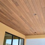 Exploring The Wide Variety Of Deck Ceiling Material Options