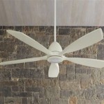 Pulley Ceiling Fans: A Comprehensive Guide