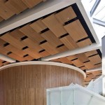 Sustainable Ceiling Materials A Comprehensive Guide