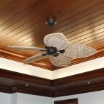 Tips For Choosing The Best Beach Ceiling Fans